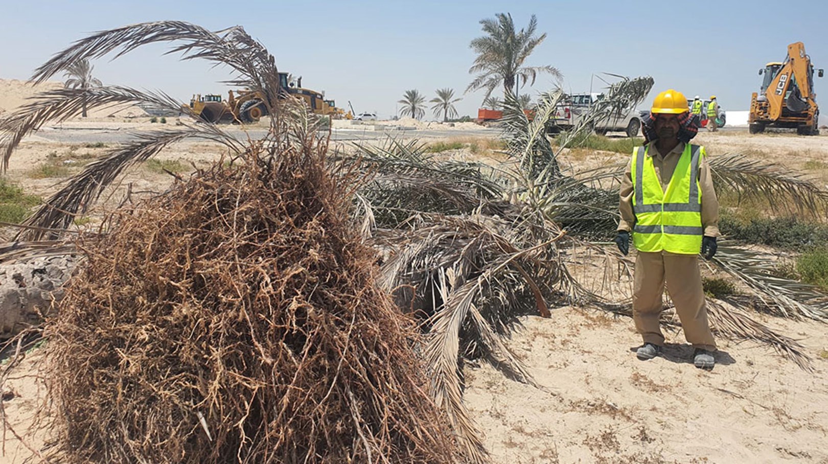 جيفن .. تزول المعاناة مع تعافي النخيل 